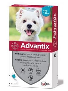 ADVANTIX 4 PIPETAS 1 ml. - De 4 a 10 Kg.